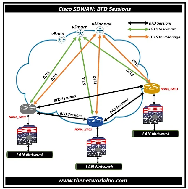 Cisco Catalyst SDWAN BFD Session