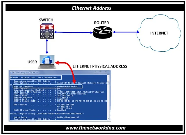 Ethernet/MAC Addressing