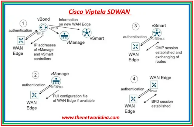 Cisco Viptela SDWAN