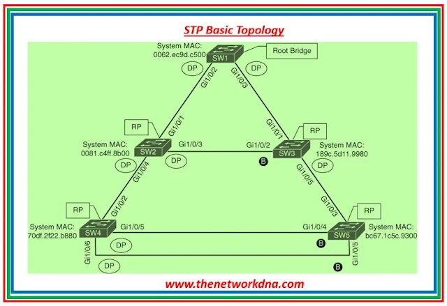 STP Topology @www.thenetworkdna.com